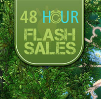 48-Hour Flash Sales
