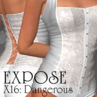 Expose for X16 Dangerousは、きれいな配色 改訂版